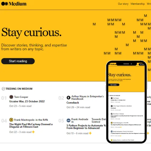FakeMedium — project